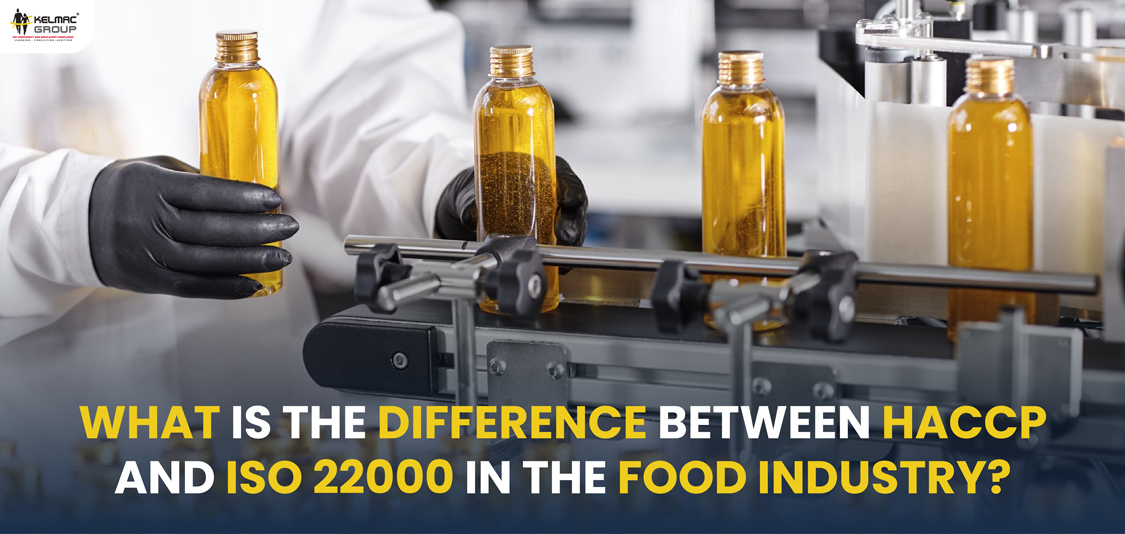 What Is The Difference Between HACCP And ISO 22000 In The Food Industry   1704780306228 What Is The Difference Between HACCP And ISO 22000 In The Food Industry Blog 