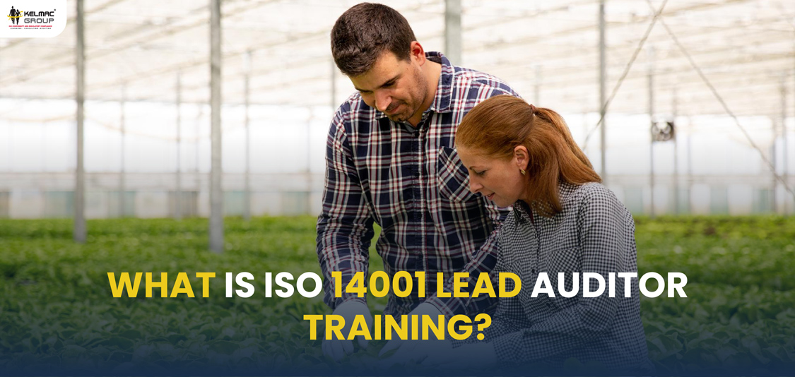 What is ISO 14001 lead auditor training?
